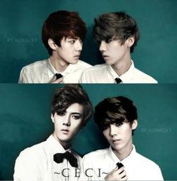 爆料勋鹿小故事视频大全,独家小故事视频大盘点